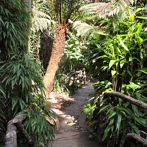 Jewels of the Forest Walkthrough