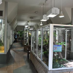 Reptile and Amphibian House