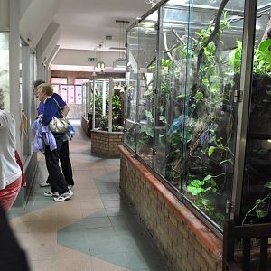 Reptile and Amphibian House