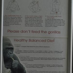 Do Not Feed the Gorillas