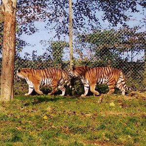 Some Old Pictures From DZP