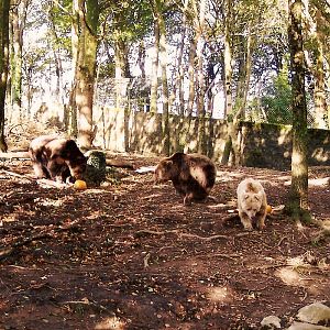 Some Old Pictures From DZP