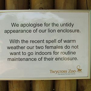 Why the Lions' window is muddy, Twycross 13/09/09