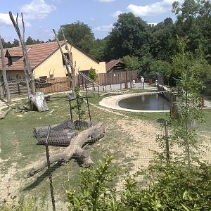 Veszprem Zoo - 2009 Tapir