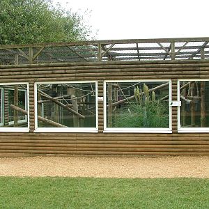 Guenon enclosure at Twycross 13/09/09