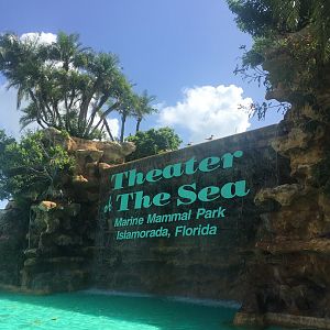 Theater of the Sea Entrance