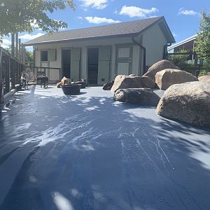 New matted flooring in one of the goat yards