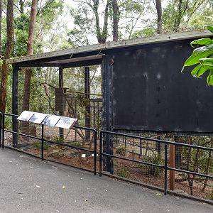Cockatoo Aviary