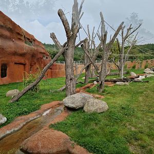 Gorilla pavilion outdoor