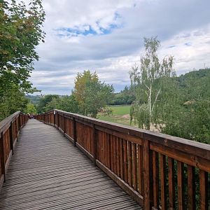 Bridge passing by the African Savanna, leads to the Gorilla pavilion