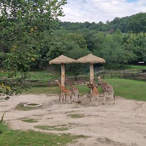 African Savannah, view from the bridge