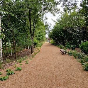 Path between Gorilla pavilion and Savannah bridge
