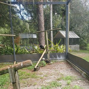 Treasure Coast Wildlife Center - Main bird enclosure