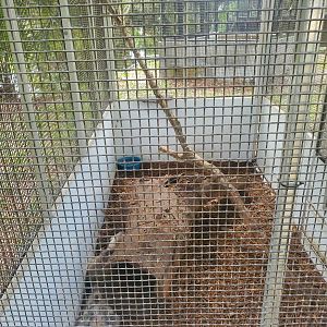 Treasure Coast Wildlife Center - Opossum enclosure