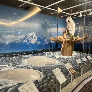 Diorama at Anchorage IAP depicting Native Alaskan hunting Belugas on the upper Cook Inlet