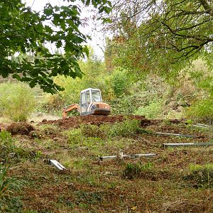 Former elephant paddock, September 2022