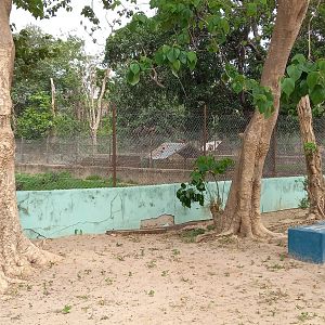 Spotted hyena enclosures