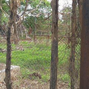 Former Lion-enclosure