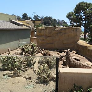 Meerkat Exhibit