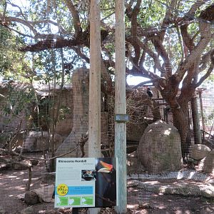 Rhinoceros Hornbill Aviary