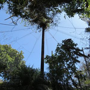 Wings of Asia Aviary