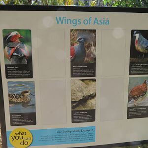 Wings of Asia Aviary Signage