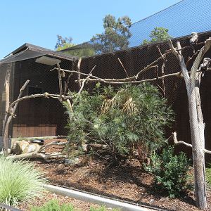 Kookaburra Aviary