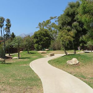 New Australian Walk-through