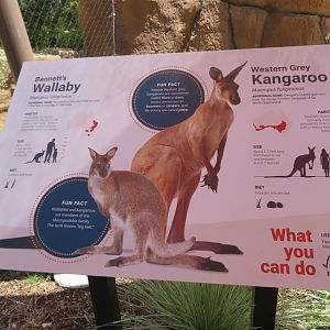 Australian Walk-through Signage