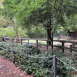 Emu Exhibit (changes coming soon)