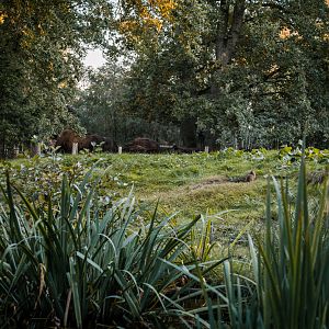 North America panorama