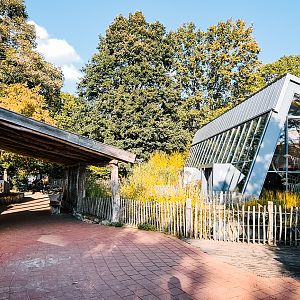 Restaurant and Meerkats/Mongoose on the left