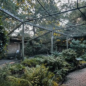 Aviary for Snowy and Great Gray Owls