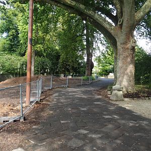 Renovation of gardens between brewery and old abbey tower, 2022-09-15
