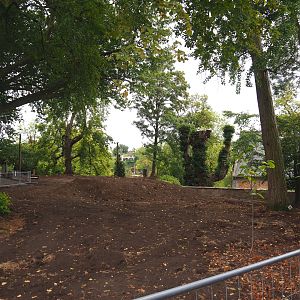 Renovation of gardens between brewery and old abbey tower, 2022-09-15