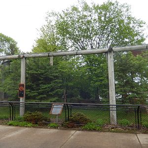 5/28/2022 - Bald Eagle & Rough-Legged Hawk Habitat