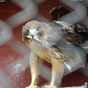 5/28/2022 - What Am I Supposed To Do With This?