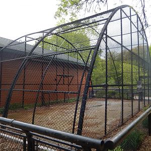 5/28/2022 - Former Cougar Exhibit