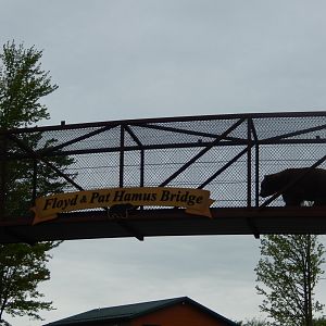 5/28/2022 - Bear Bridge