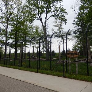 5/28/2022 - Bear Woods