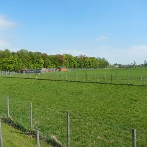 5/28/2022 - Hoofstock Paddock