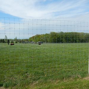 5/28/2022 - American Bison Paddock