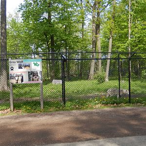 5/28/2022 - Timber Wolf Habitat