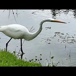 A Delightful Day With Daisy - YouTube