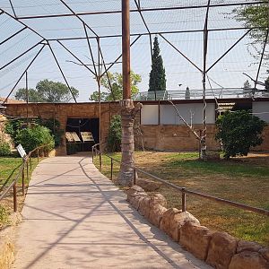Rodrigues flying fox exhibit