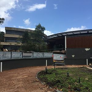 Cultural garden development (30/09/22)