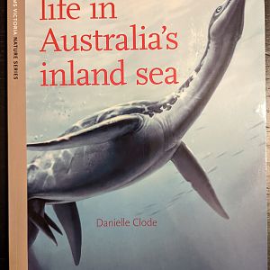 Prehistoric marine life in Australia's inland sea