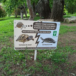 sign about tortoise and turtle