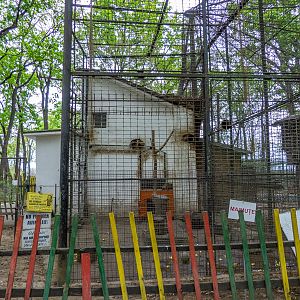 enclosure of monkeys