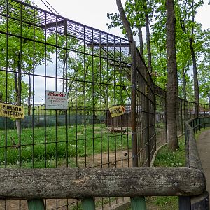 enclosure of brown bears